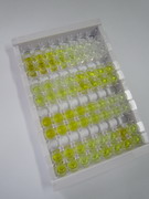 ELISA Kit for Collagen Type VI Alpha 1 (COL6a1)