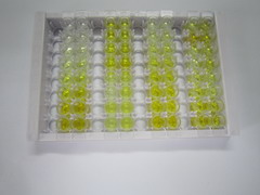 ELISA Kit for Collagen Type X (COL10)