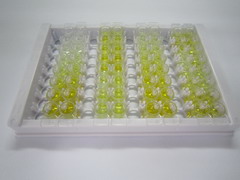ELISA Kit for Collagen Type X (COL10)