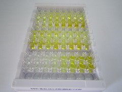 ELISA Kit for Aromatase (ARO)