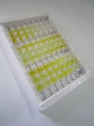 ELISA Kit for Heat Shock 70kDa Protein 5 (HSPA5)