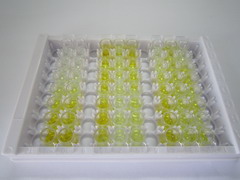 ELISA Kit for Annexin A6 (ANXA6)