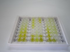 ELISA Kit for Carboxylesterase 1 (CES1)