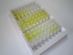 ELISA Kit for Carboxypeptidase A3 (CPA3)