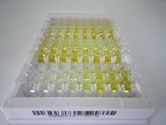 ELISA Kit for Corticotropin Releasing Hormone Binding Protein (CRHBP)