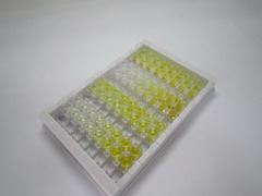 ELISA Kit for TNF Like Ligand 1A (TL1A)