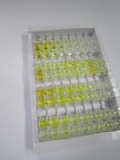 ELISA Kit for Multimerin 1 (MMRN1)