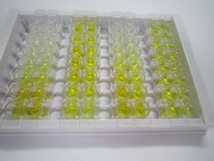 ELISA Kit for Natriuretic Peptide Receptor 1 (NPR1)