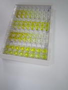 ELISA Kit for 2',5'-Oligoadenylate Synthetase 1 (OAS1)