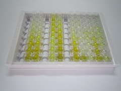 ELISA Kit for Odorant Binding Protein 2A (OBP2A)