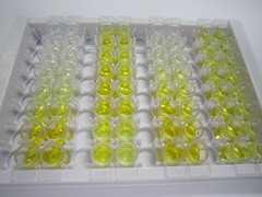 ELISA Kit for Pericentrin (PCNT)