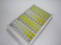 ELISA Kit for Platelet Activating Factor Receptor (PAFR)