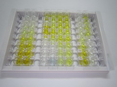 ELISA Kit for Platelet Activating Factor Receptor (PAFR)