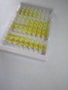 ELISA Kit for Transmembrane Protease, Serine 2 (TMPRSS2)