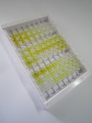 ELISA Kit for Tumor Necrosis Factor Alpha Induced Protein 3 (TNFaIP3)