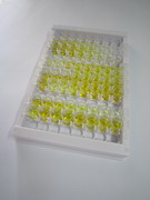 ELISA Kit for Toll Interacting Protein (TOLLIP)