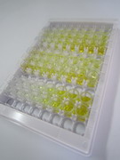ELISA Kit for Secreted Frizzled Related Protein 5 (SFRP5)