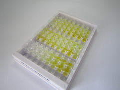 ELISA Kit for Synaptosomal Associated Protein 25kDa (SNAP25)