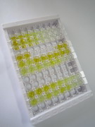 ELISA Kit for Natriuretic Peptide Receptor 2 (NPR2)