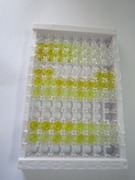 ELISA Kit for Natriuretic Peptide Receptor 3 (NPR3)
