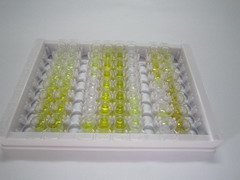ELISA Kit for Neutral Sphingomyelinase (NSMASE)