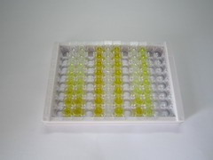 ELISA Kit for Carbonic Anhydrase IV (CA4)