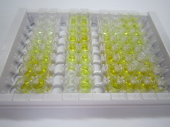ELISA Kit for Carbonic Anhydrase IX (CA9)