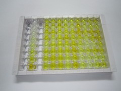 ELISA Kit for Collagen Type VI (COL6)