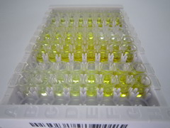 ELISA Kit for Cholinergic Receptor, Nicotinic, Alpha 5 (CHRNa5)