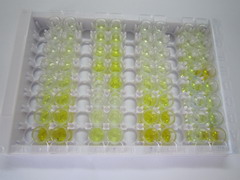 ELISA Kit for Ribonuclease L (RNASEL)