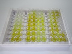 ELISA Kit for Collagen Type II Alpha 1 (COL2a1)