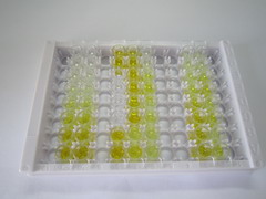 ELISA Kit for Cytochrome P450 2D6 (CYP2D6)