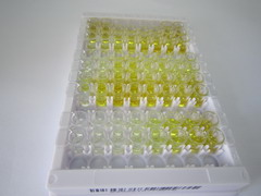 ELISA Kit for Cytochrome b-245 Beta Polypeptide (CYBb)