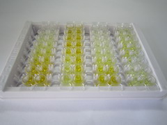 ELISA Kit for Thioredoxin Reductase 2 (TrxR2)