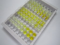ELISA Kit for Placental Thrombin Inhibitor (PTI)