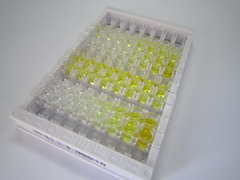 ELISA Kit for Cytochrome P450 27A1 (CYP27A1)