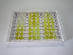 ELISA Kit for Acetyl Coenzyme A Acetyltransferase 1 (ACAT1)