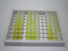 ELISA Kit for Thrombospondin 2 (THBS2)