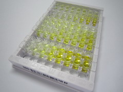 ELISA Kit for Phospholipase A2, Pancreas (pPLA2)