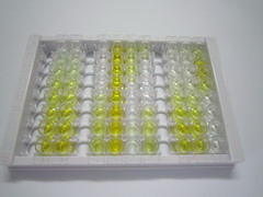 ELISA Kit for Phospholipase A2, Group IIA (PLA2G2A)