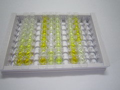 ELISA Kit for Phospholipase A2, Group X (PLA2G10)