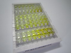 ELISA Kit for Phospholipase C Gamma 2, Phosphatidylinositol Specific (PLCg2)