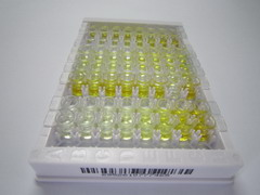 ELISA Kit for Insulin Like Protein 5 (INSL5)
