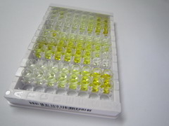 ELISA Kit for Estrogen Related Receptor Alpha (ERRa)
