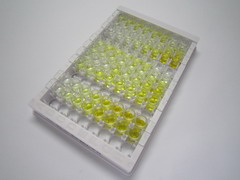 ELISA Kit for Indoleamine-2,3-Dioxygenase 2 (IDO2)