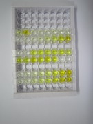 ELISA Kit for Prefoldin Subunit 5 (PFDN5)