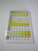ELISA Kit for Glutamate Receptor, Metabotropic 1 (GRM1)