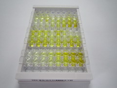 ELISA Kit for Uncoupling Protein 1, Mitochondrial (UCP1)