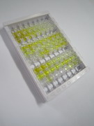 ELISA Kit for Multimerin 2 (MMRN2)