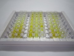 ELISA Kit for Phosphodiesterase 5A, cGMP Specific (PDE5A)